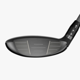 BOIS D'ALLÉE CALLAWAY QUANTUM MAX
